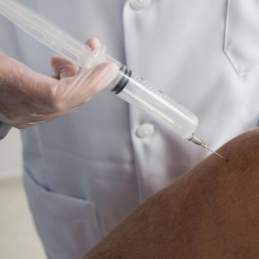 Ozonioterapia em Petrópolis